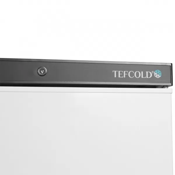 Mrazicí skříň plné dveře Tefcold UF 400