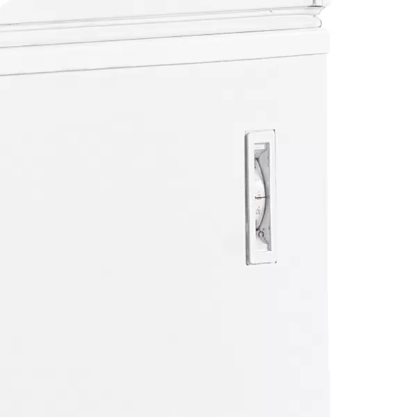 Mraznička na zmrzlinu plné víko Tefcold FR 605 SL